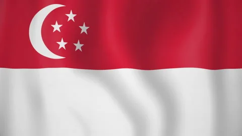 Singapore animated flag. Seamless loop. 4K 스톡 동영상 145459065