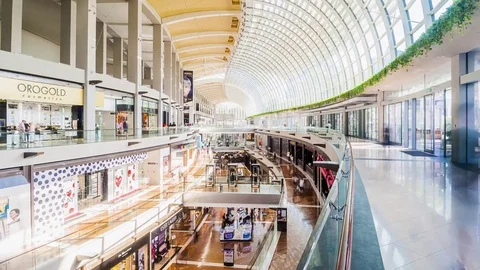 SINGAPORE - August 23: Timelapse in motion - inside view in the shopping mall Stock-Footage 79645281