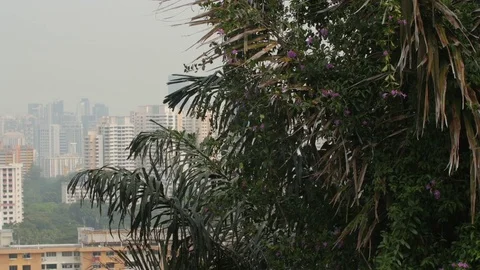 Singapore cityscape Stock Footage 77607566