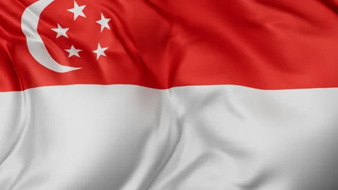 Singapore cloth flag background loop Stock Footage 310850656