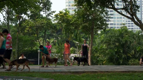 Singapore Down Town Day Time View  Main Attractions Buildings Stock Footage 128574618