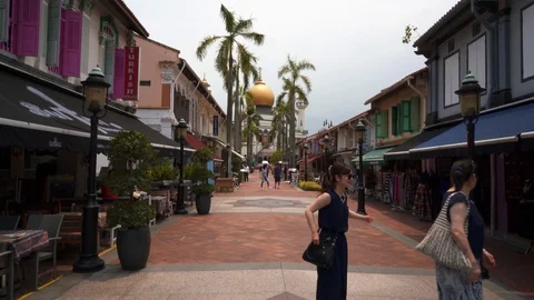 Singapore Down Town Day Time View  Main Attractions Buildings 库存影片 128574844