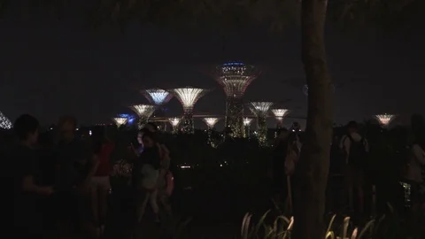 Singapore Down Town Night Time View  Main Attractions Buildings Stock Footage 128575569