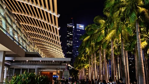 Singapore Down Town Night Time View  Main Attractions Buildings Stock Footage 128575863