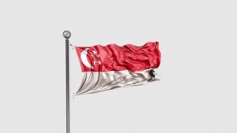 Singapore Flag  Animation Loop Include Alpha 3D Rendering Video stock 283011553