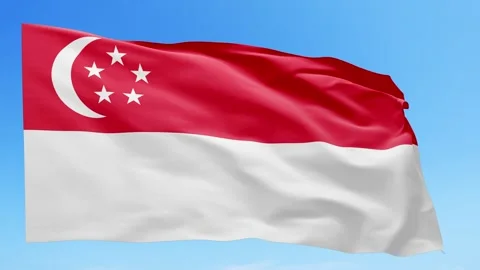 Singapore Flag Animation – Seamless Loop (4K UHD) Stock Footage 319030231