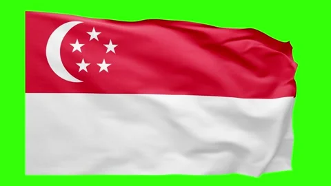 Singapore Flag Animation – Seamless Loop (4K UHD) Stock Footage 319030232