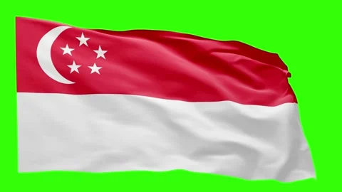 Singapore Flag Animation – Seamless Loop (4K UHD) Stock Footage 319030248