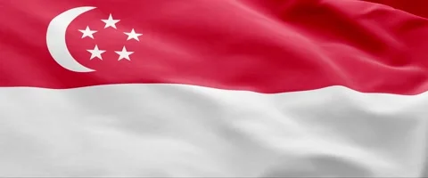 Singapore Flag Animation – Seamless Loop (4K UHD) Stock Footage 319030249