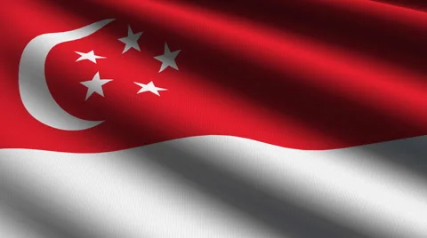 Singapore flag close up Stock Footage 884854
