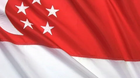 Singapore Flag Stock Footage 361951