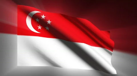 Singapore Flag Stock Footage 873988