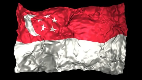 Singapore flag Stock Footage 110853783