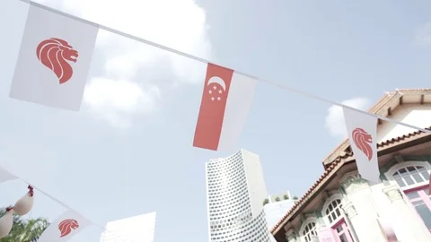 Singapore Flag Stock Footage 113436838