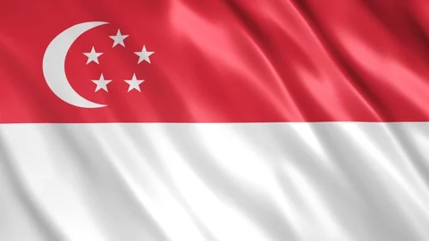 Singapore Flag Stock Footage 123893696