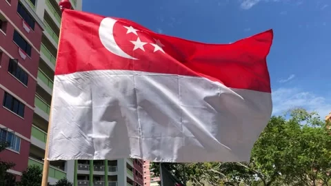Singapore Flag Stock Footage