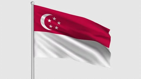 Singapore Flag Stock Footage 207782033