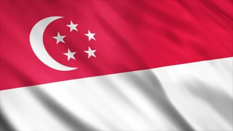 Singapore Flag Stock Footage 249034226