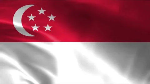Singapore Flag Stock Footage 262500055