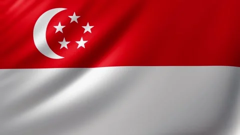 Singapore flag Video stock 326853520