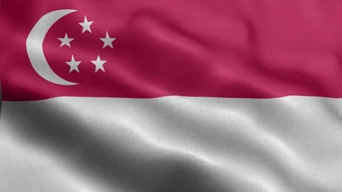 Singapore flag Front Stock Footage 318669490
