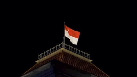 Singapore flag high in the night Stock Footage 146177401