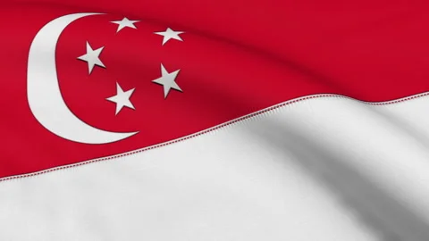 Singapore Flag Loop Stock Footage 241215663