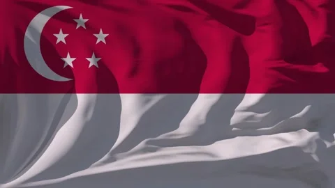 Singapore Flag Loop Stock Footage 295750148