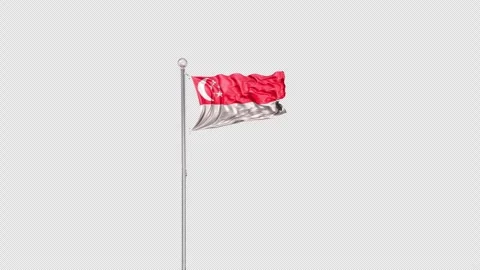 Singapore   Flag Pole  Animation Include Alpha 3D Rendering Stock-Footage 312101062