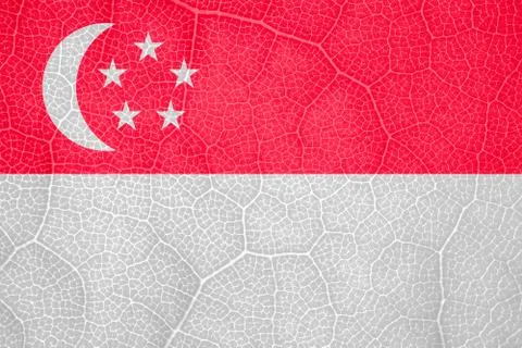 Singapore flag on the structure of a tree leaf macro Stock-Fotos