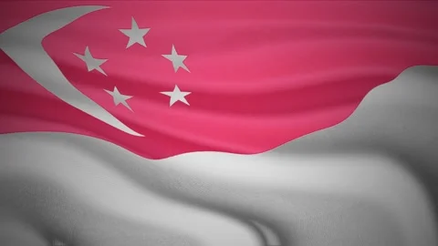 Singapore Flag waving in wind Video stock 158494341