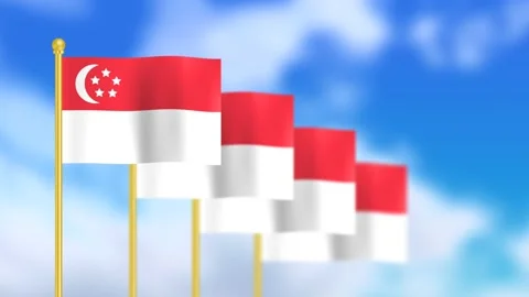 Singapore flag waving in wind Stock Footage 199913013