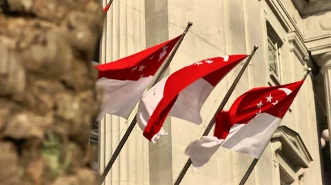 Singapore Flags Stock Footage 8517967