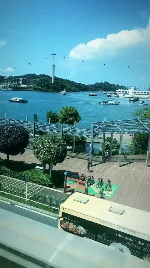 Singapore Stock Footage 225896522