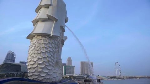 Singapore Video stock 251897153