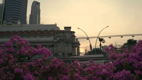 Singapore Video stock 251897178
