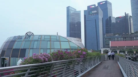 Singapore Video stock 251897206