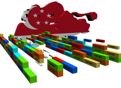 Singapore map with stacks of export containers illustration 库存插图
