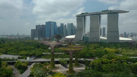 singapore marina bay gardens tree Stock Video Pond5