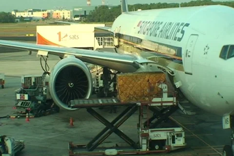 SINGAPORE-PLANE-UNLOADING 1 Vidéo 669057