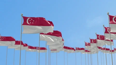Singapore Row Of Flags Animation Stock-Footage 148794333