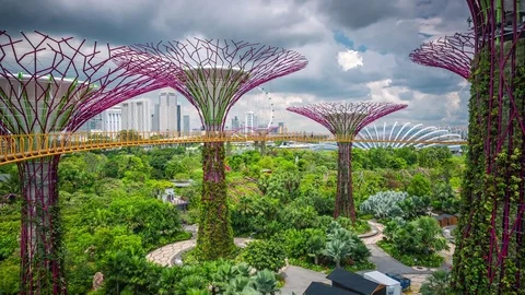 Singapore supertrees grove Timelapse Stock Footage 72893665
