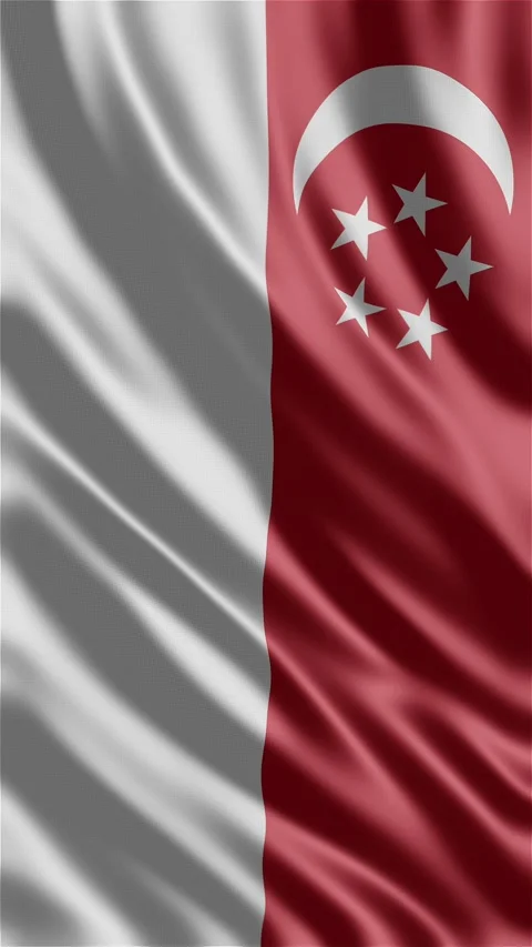 Singapore waving flag Stock Footage 288004542