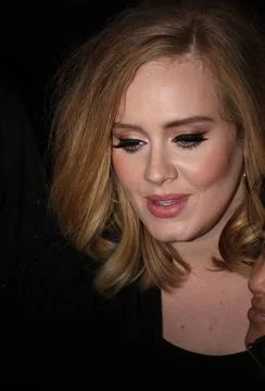  Singer Adele leaves a downtown hotel on November 19 2015 in New York City... Stock-Fotos