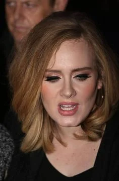  Singer Adele leaves a downtown hotel on November 19 2015 in New York City... Stock-Fotos