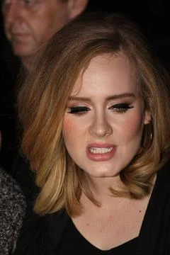  Singer Adele leaves a downtown hotel on November 19 2015 in New York City... Stock-Fotos