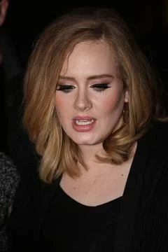  Singer Adele leaves a downtown hotel on November 19 2015 in New York City... Stock-Fotos