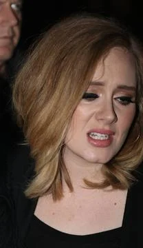  Singer Adele leaves a downtown hotel on November 19 2015 in New York City... Stock-Fotos
