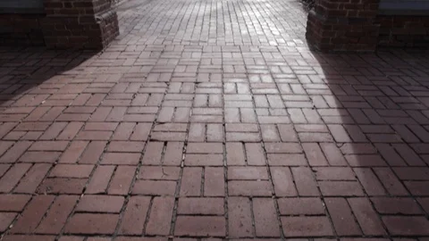 Singer Statue In Front of Brick Building Stock Footage 113069253
