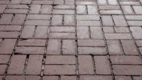 Singer Statue In Front of Brick Building Stock Footage 113069389